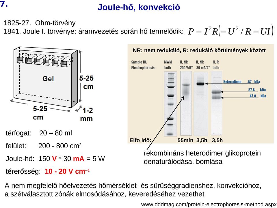 ml felület: 200-800 cm 2 Joule-hő: 150 V * 30 ma = 5 W Elfo idő: 55min 3,5h 3,5h rekombináns heterodimer glikoprotein denaturálódása,