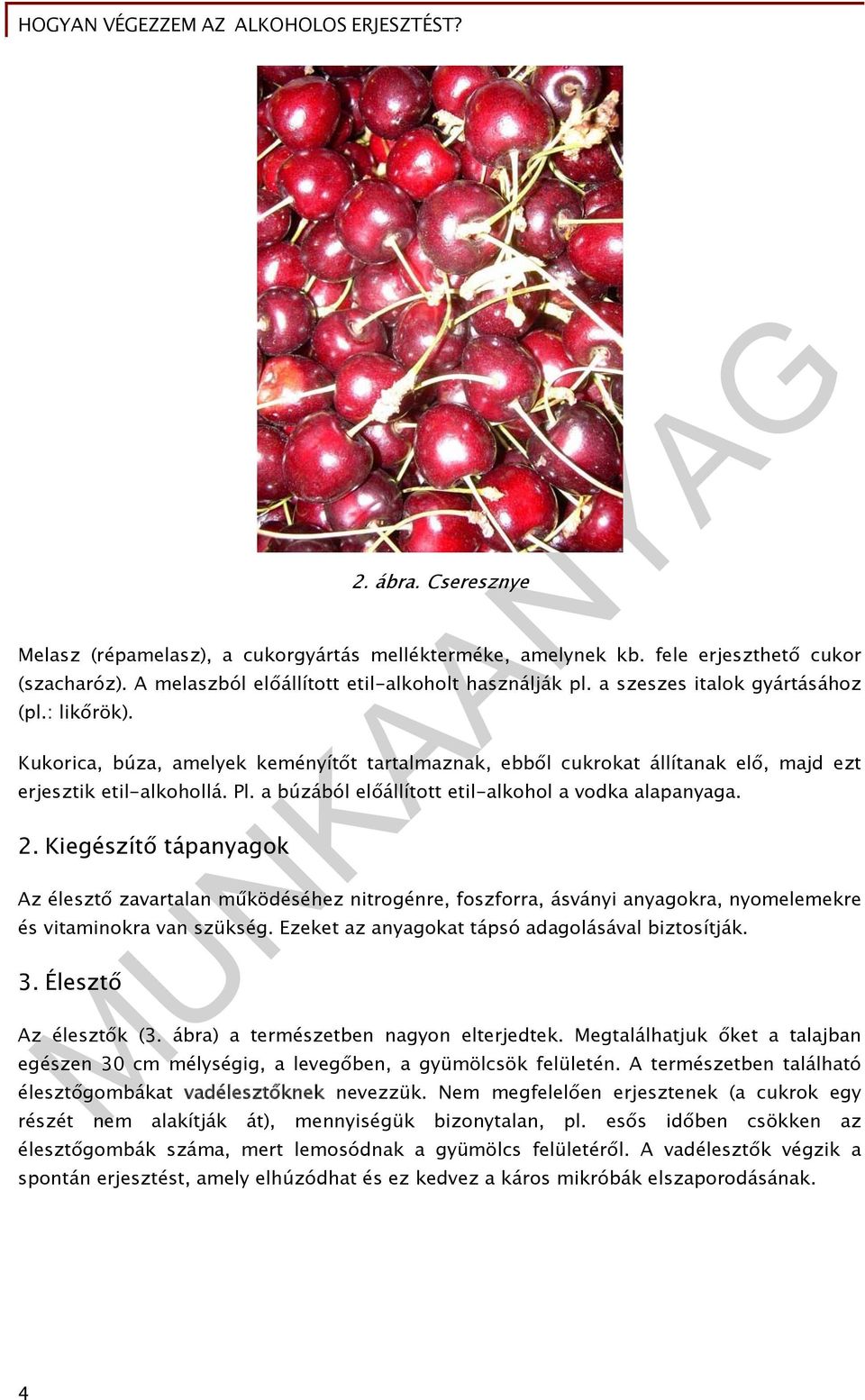 a búzából előállított etil-alkohol a vodka alapanyaga. 2. Kiegészítő tápanyagok Az élesztő zavartalan működéséhez nitrogénre, foszforra, ásványi anyagokra, nyomelemekre és vitaminokra van szükség.