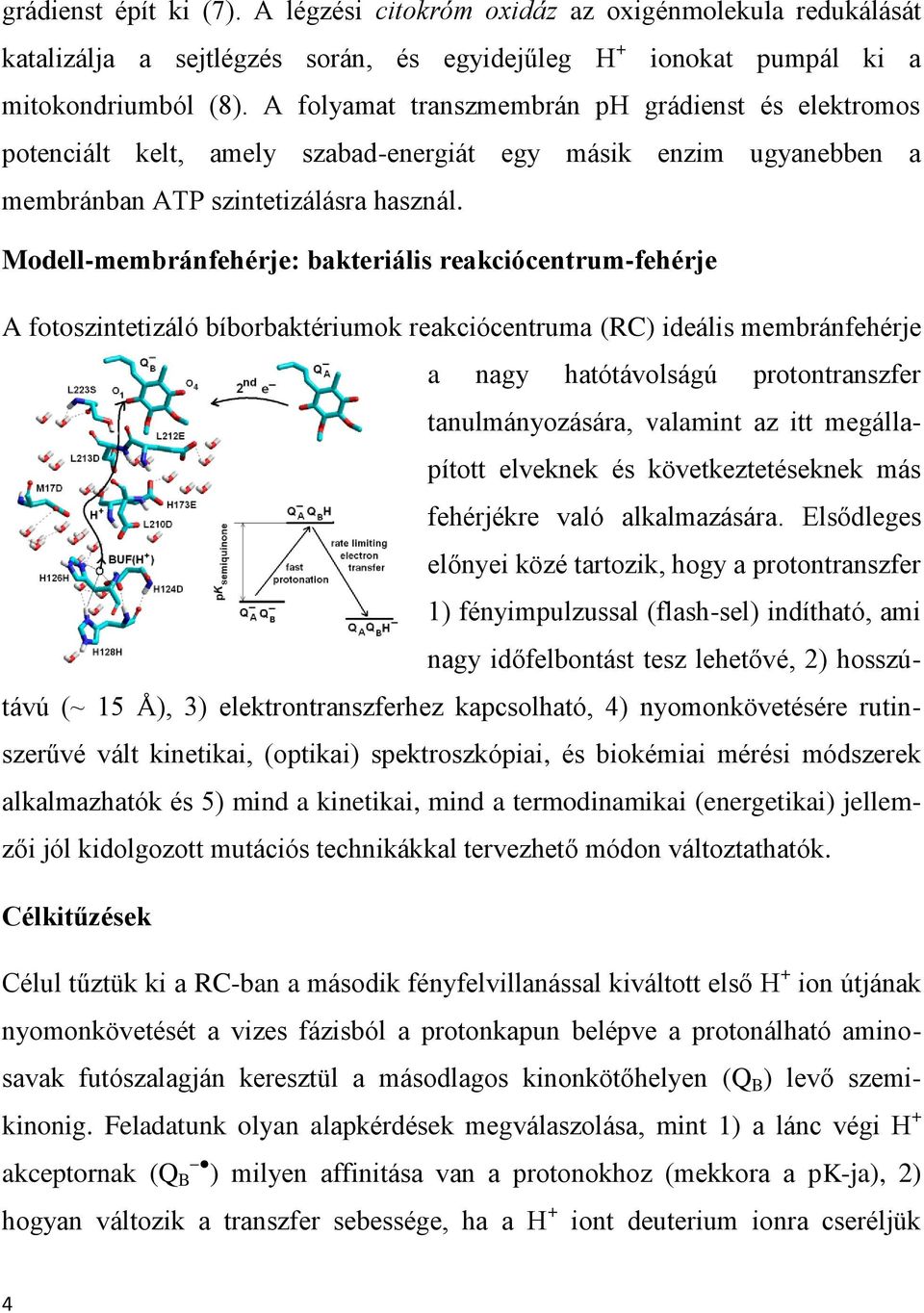 Modell-membránfehérje: bakteriális reakciócentrum-fehérje A fotoszintetizáló bíborbaktériumok reakciócentruma (RC) ideális membránfehérje a nagy hatótávolságú protontranszfer tanulmányozására,