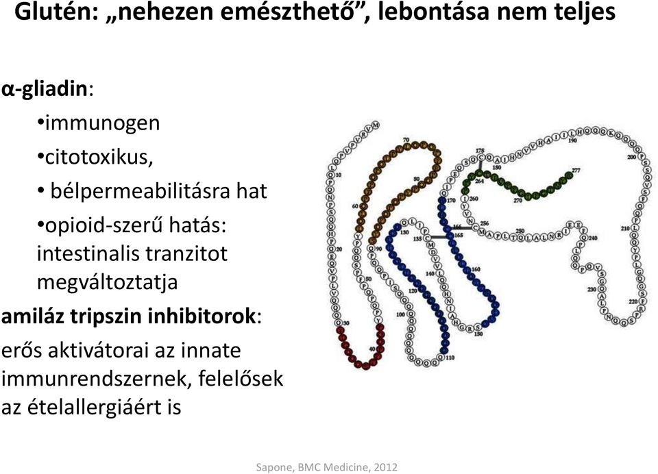 tranzitot megváltoztatja amiláz tripszin inhibitorok: erős aktivátorai az