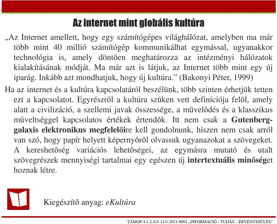 (Bakonyi Péter, 1999) Ha az internet és a kultúra kapcsolatáról beszélünk, több szinten érhetjük tetten ezt a kapcsolatot.