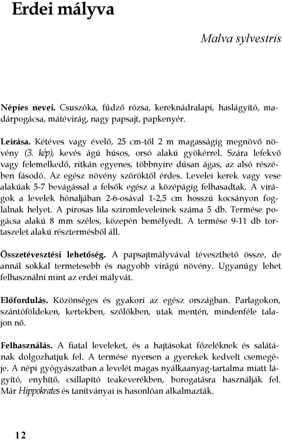 Szára lefekvő vagy felemelkedő, ritkán egyenes, többnyire dúsan ágas, az alsó részében fásodó. Az egész növény szőröktől érdes.