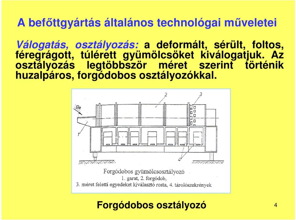 gyümölcsöket kiválogatjuk.