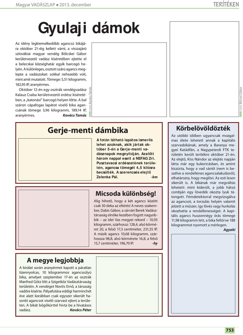 el a belecskai községhatár egyik barcogó helyén. A különleges, osztott szárú agancs meglepte a vadászokat: sokkal nehezebb volt, mint amit mutatott. Tömege: 5,51 kilogramm, 182,95 IP, aranyérmes.