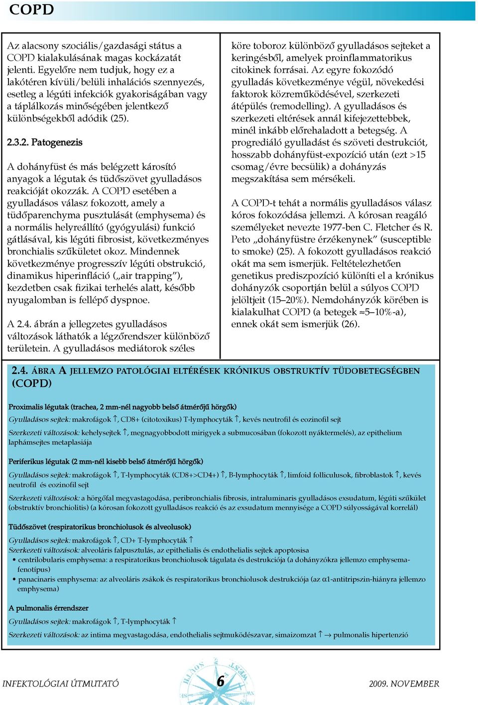 ). 2.3.2. Patogenezis A dohányfüst és más belégzett károsító anyagok a légutak és tüdõszövet gyulladásos reakcióját okozzák.