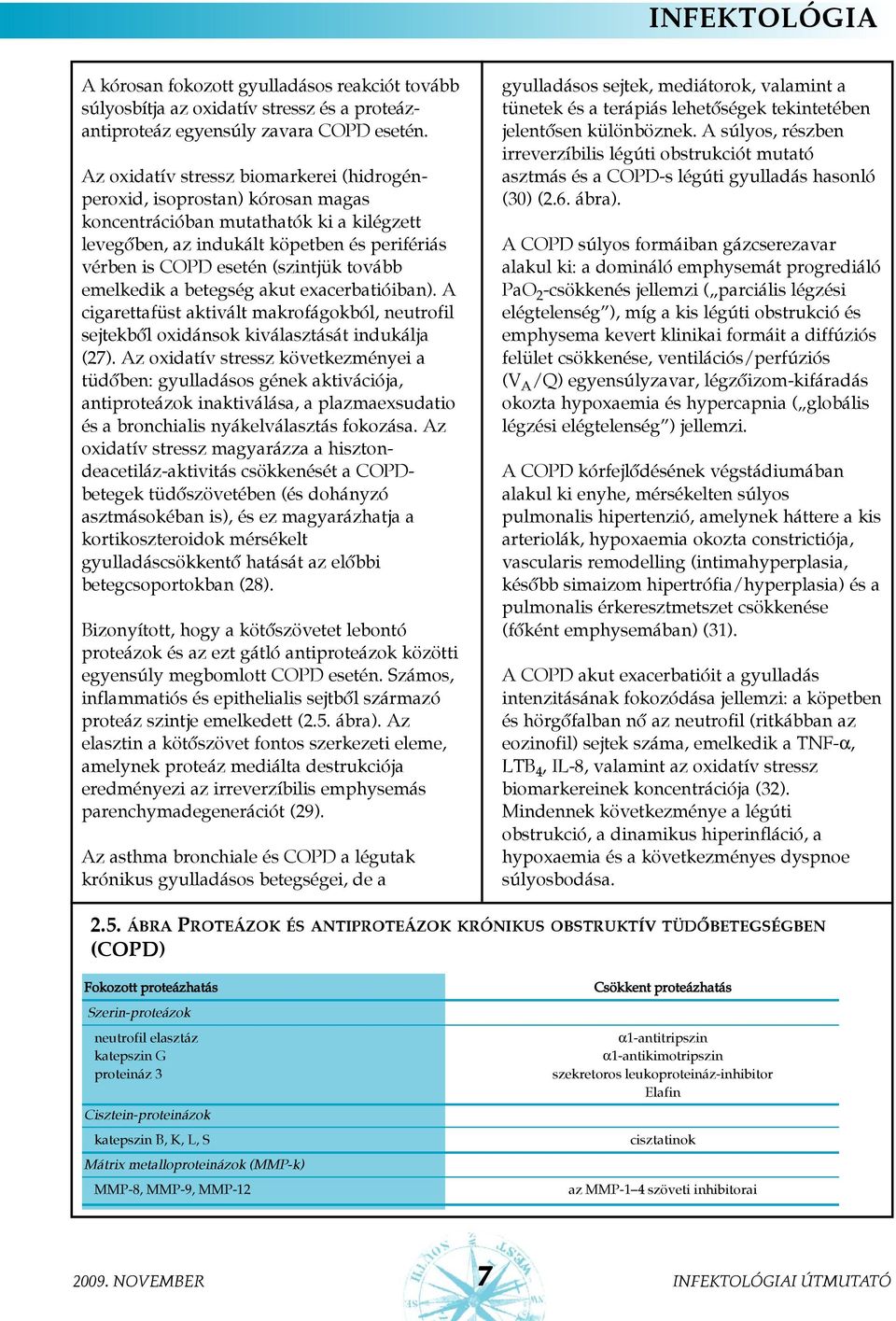 tovább emelkedik a betegség akut exacerbatióiban). A cigarettafüst aktivált makrofágokból, neutrofil sejtekbõl oxidánsok kiválasztását indukálja (27).