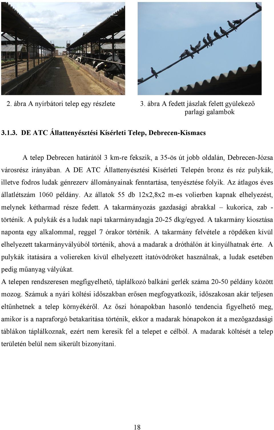1.3. DE ATC Állattenyésztési Kísérleti Telep, DebrecenKismacs A telep Debrecen határától 3 kmre fekszik, a 35ös út jobb oldalán, DebrecenJózsa városrész irányában.