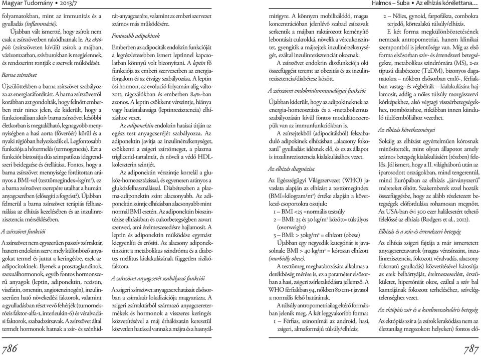 Barna zsírszövet Újszülöttekben a barna zsírszövet szabályozza az energiaráfordítást.