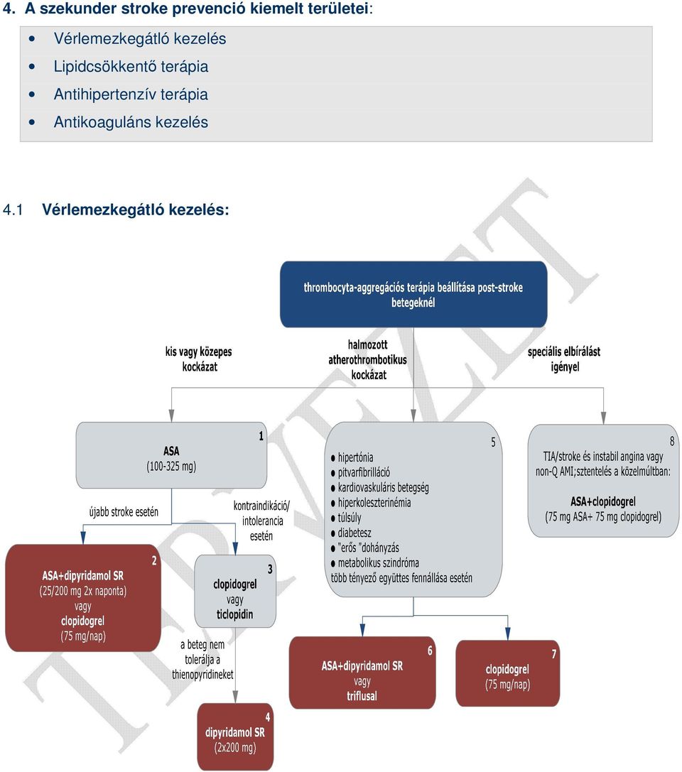 Lipidcsökkentı terápia Antihipertenzív