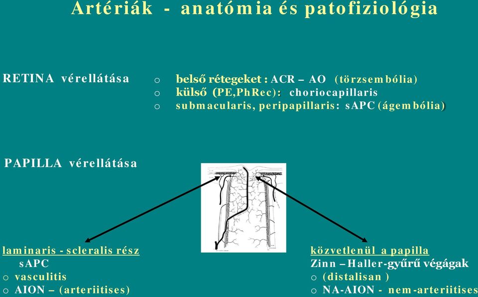 (ágembólia) PAPILLA vérellátása laminaris - scleralis rész sapc o vasculitis o AION