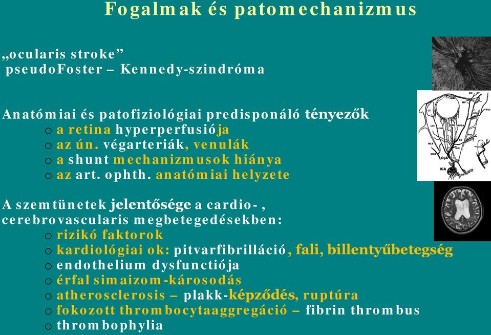 anatómiai helyzete A szemtünetek jelentősége a cardio-, cerebrovascularis megbetegedésekben: o rizikó faktorok o kardiológiai ok: