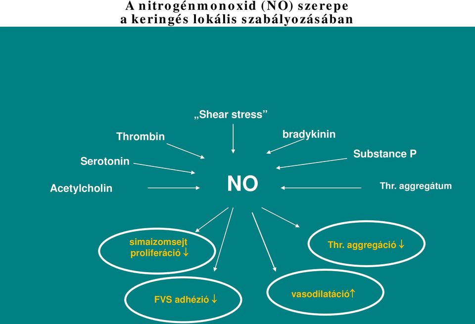 Thrombin NO bradykinin Substance P Thr.