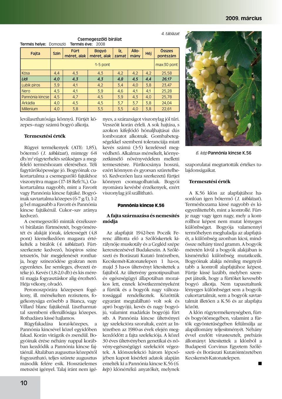 Pannónia kincse 4,5 4,7 4,5 3,9 4,3 4,0 25,78 Árkádia 4,0 4,5 4,5 3,7 3,7 3,8 24,04 Millenium 4,0 3,8 3,5 3,5 4,0 3,8 22,61 leválaszthatósága könnyű. Fürtjét közepes nagy számú bogyó alkotja.