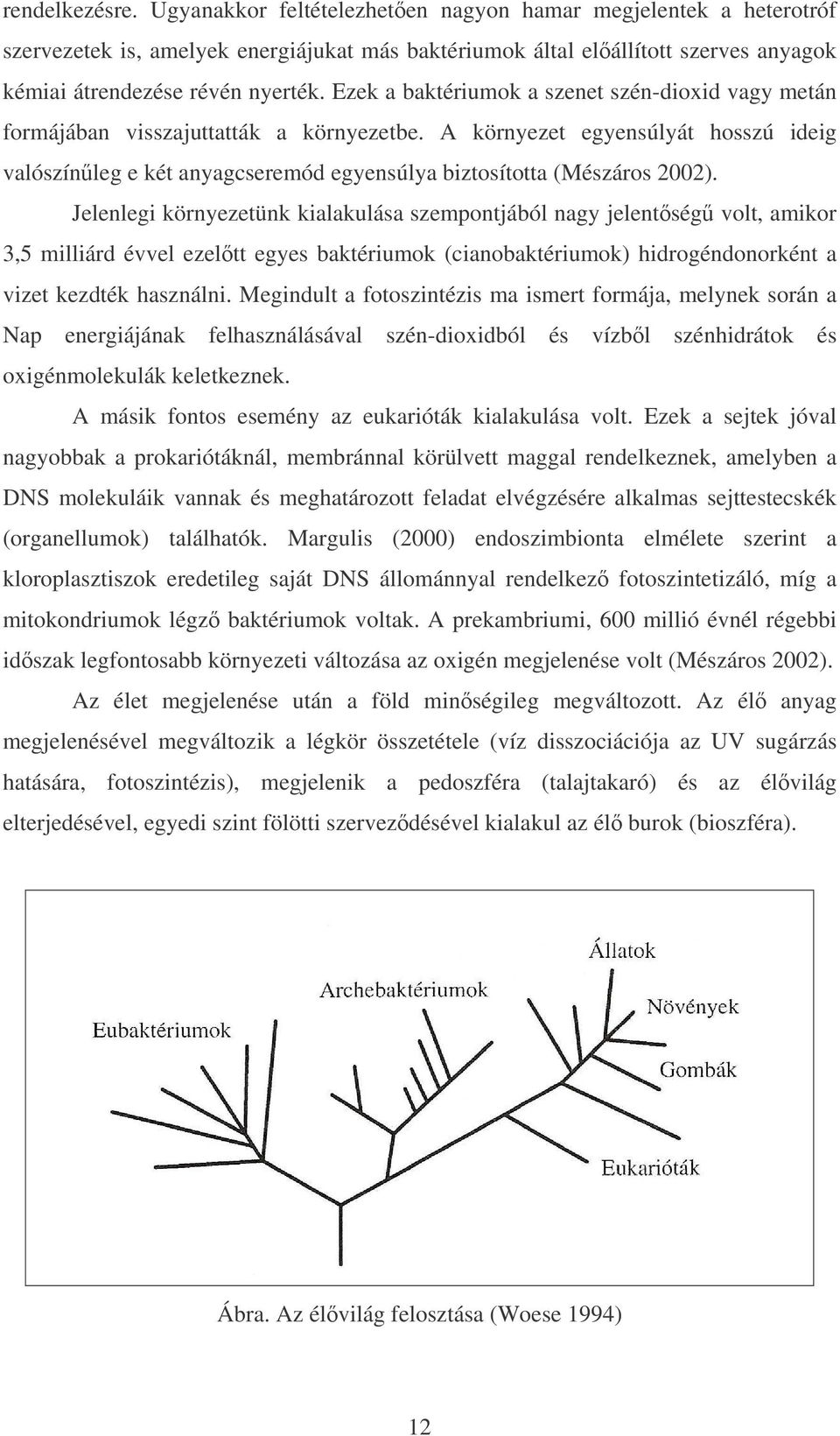 A környezet egyensúlyát hosszú ideig valószínleg e két anyagcseremód egyensúlya biztosította (Mészáros 2002).