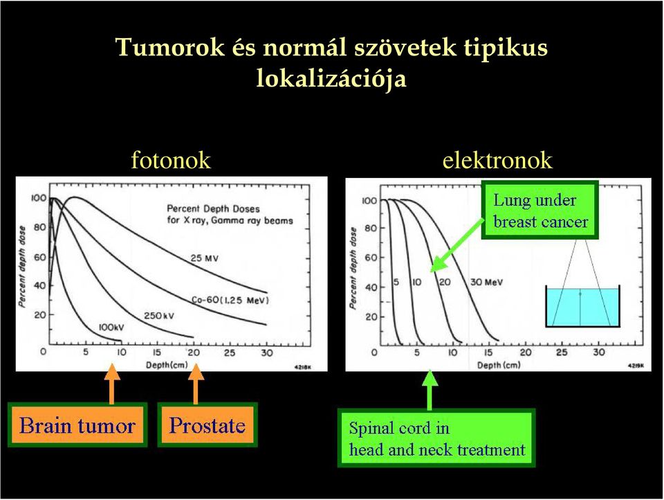 tipikus