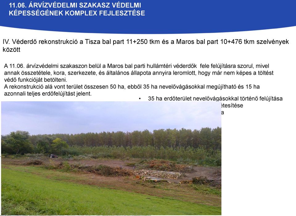 Véderdő rekonstrukció a Tisza bal part 11+250 tkm és a Maros bal part 10+476 tkm szelvények között A  árvízvédelmi szakaszon belül a Maros bal parti hullámtéri