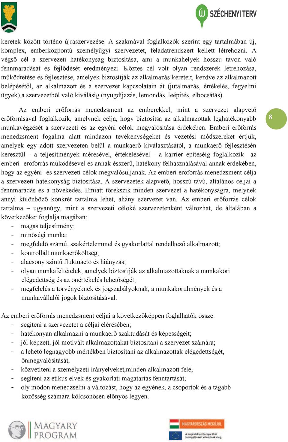 Köztes cél volt olyan rendszerek létrehozása, működtetése és fejlesztése, amelyek biztosítják az alkalmazás kereteit, kezdve az alkalmazott belépésétől, az alkalmazott és a szervezet kapcsolatain át