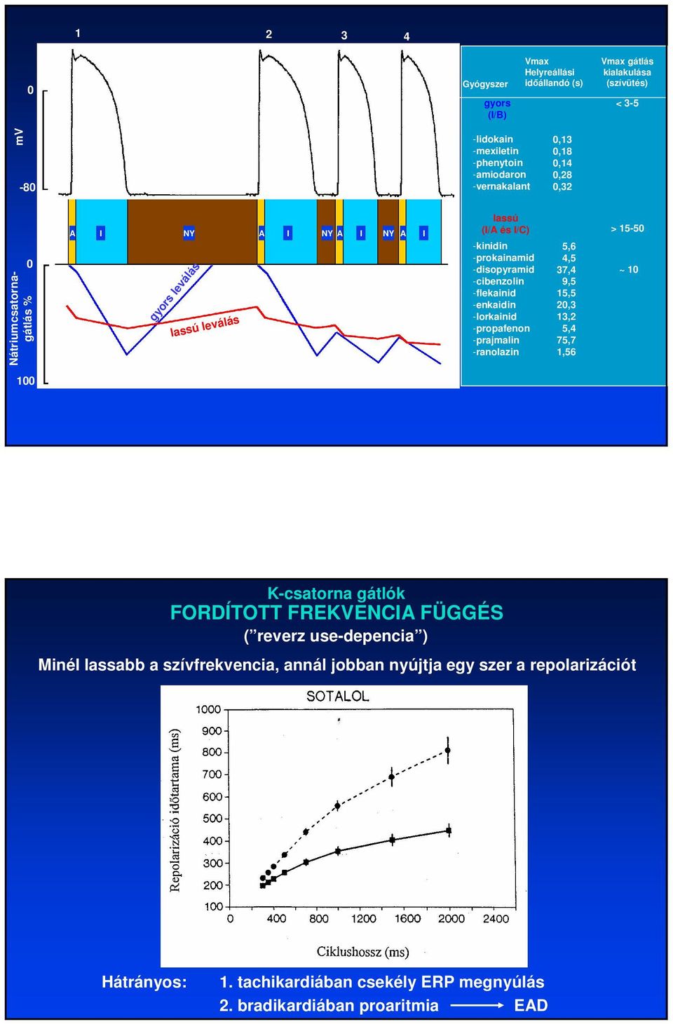 -flekainid -enkaidin -lorkainid -propafenon -prajmalin -ranolazin 5,6 4,5 37,4 9,5 15,5 20,3 13,2 5,4 75,7 1,56 ~ 10 100 K-csatorna gátlók FORDÍTOTT FREKVENCIA FÜGGÉS (