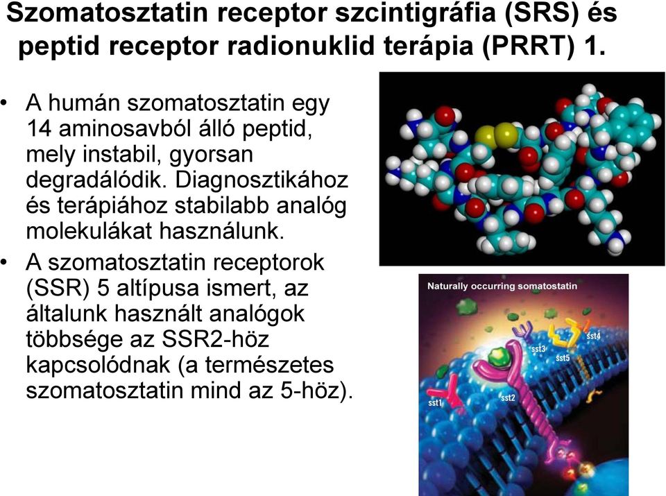 Diagnosztikához és terápiához stabilabb analóg molekulákat használunk.