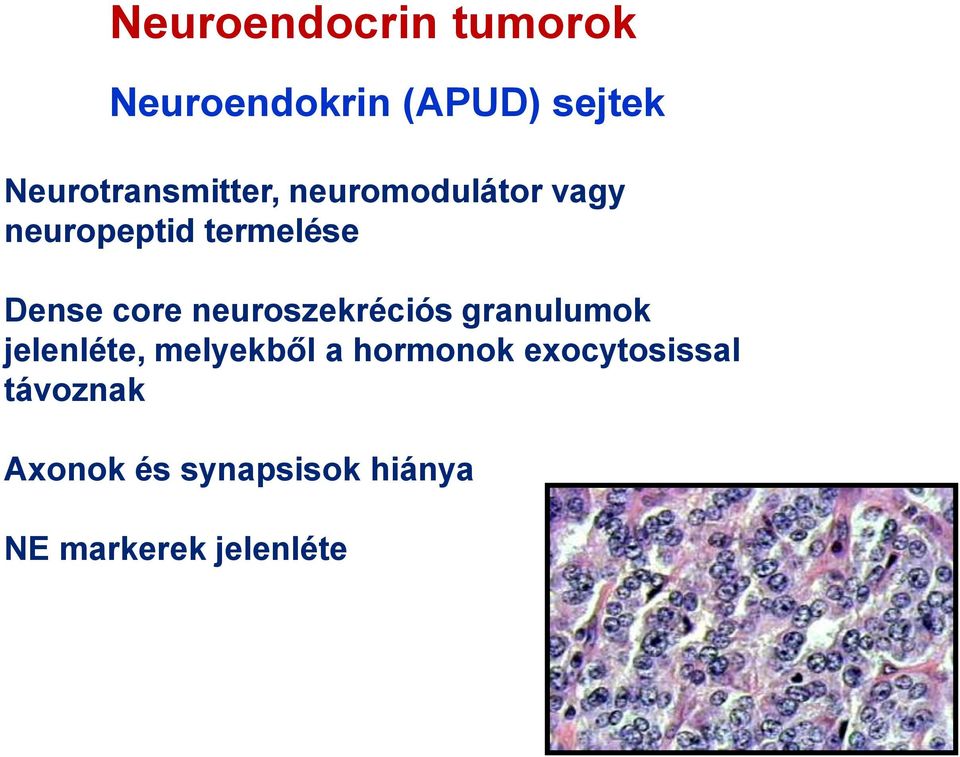 Dense core neuroszekréciós granulumok jelenléte, melyekből a