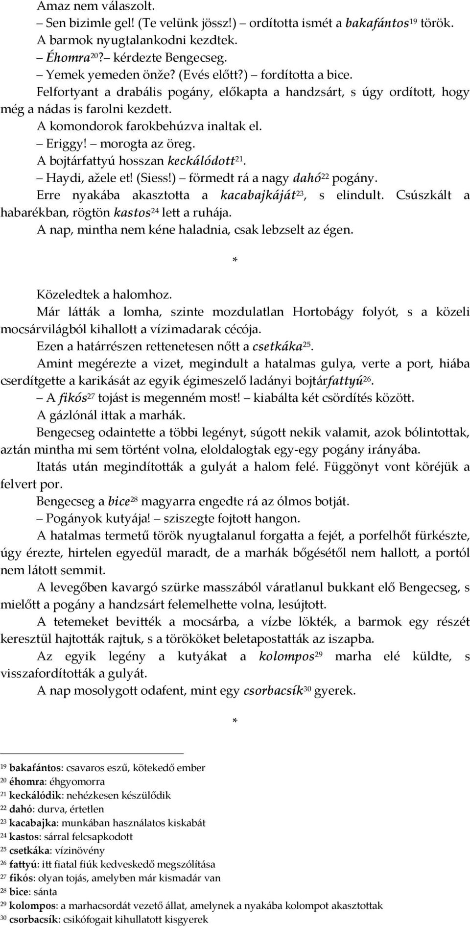 A bojtárfattyú hosszan keckálódott 21. Haydi, ažele et! (Siess!) förmedt rá a nagy dahó 22 pogány. Erre nyakába akasztotta a kacabajkáját 23, s elindult.