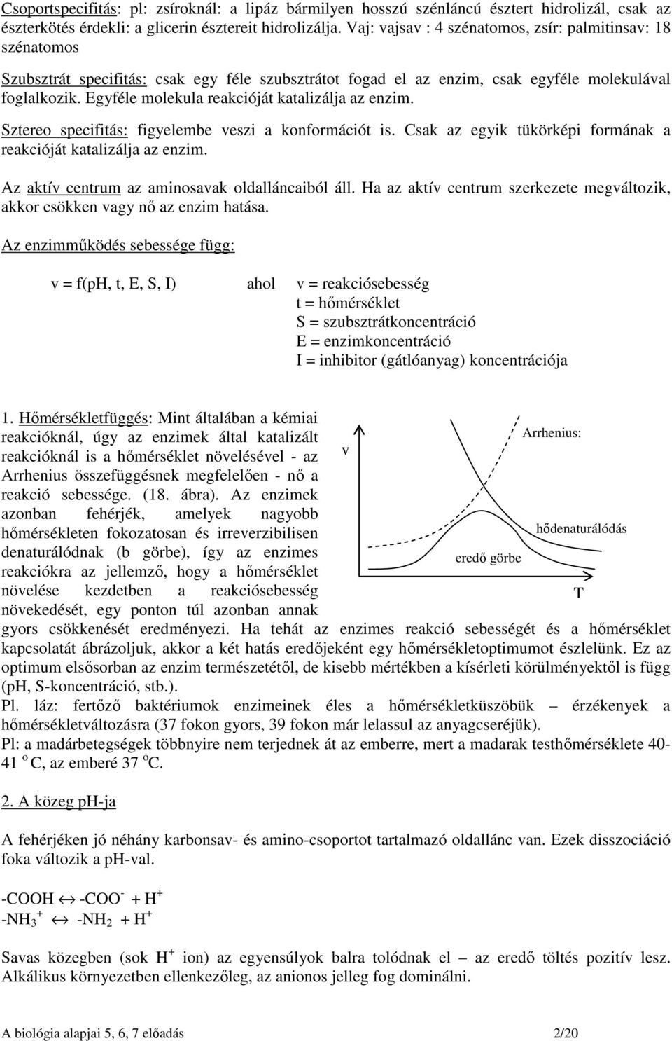 Egyféle molekula reakcióját katalizálja az enzim. Sztereo specifitás: figyelembe veszi a konformációt is. Csak az egyik tükörképi formának a reakcióját katalizálja az enzim.