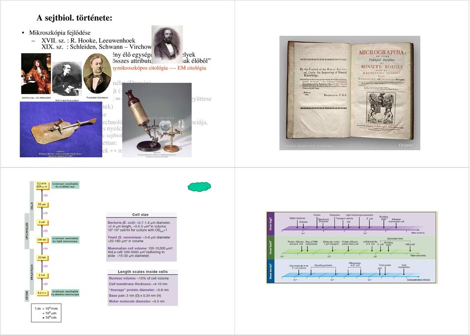 : Schleiden, Schwann Virchow: minden állat és növény élő egységekből áll, melyek hordozzák az élő összes attributumát; élő csak élőből A sejt részeinek megismerése fénymikroszkópos