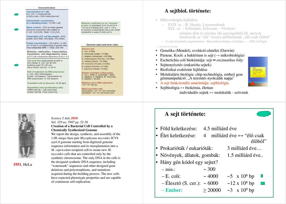 : Schleiden, Schwann Virchow: minden állat és növény élő egységekből áll, melyek hordozzák az élő összes attributumát; élő csak élőből A sejt részeinek megismerése fénymikroszkópos citológia ---- EM