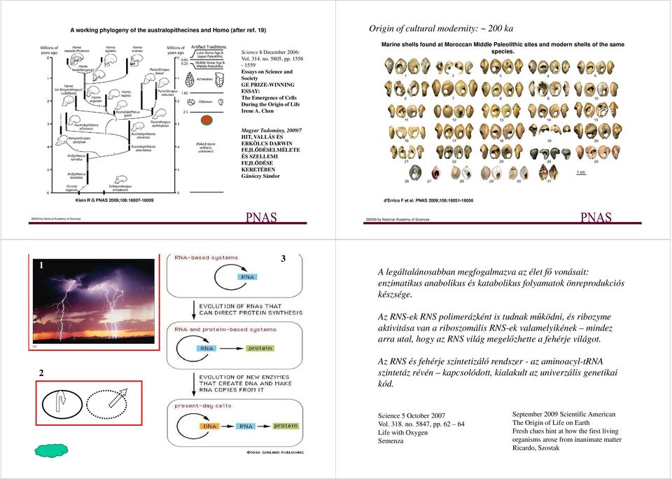 Chen Origin of cultural modernity: ~ 200 ka Marine shells found at Moroccan Middle Paleolithic sites and modern shells of the same species.