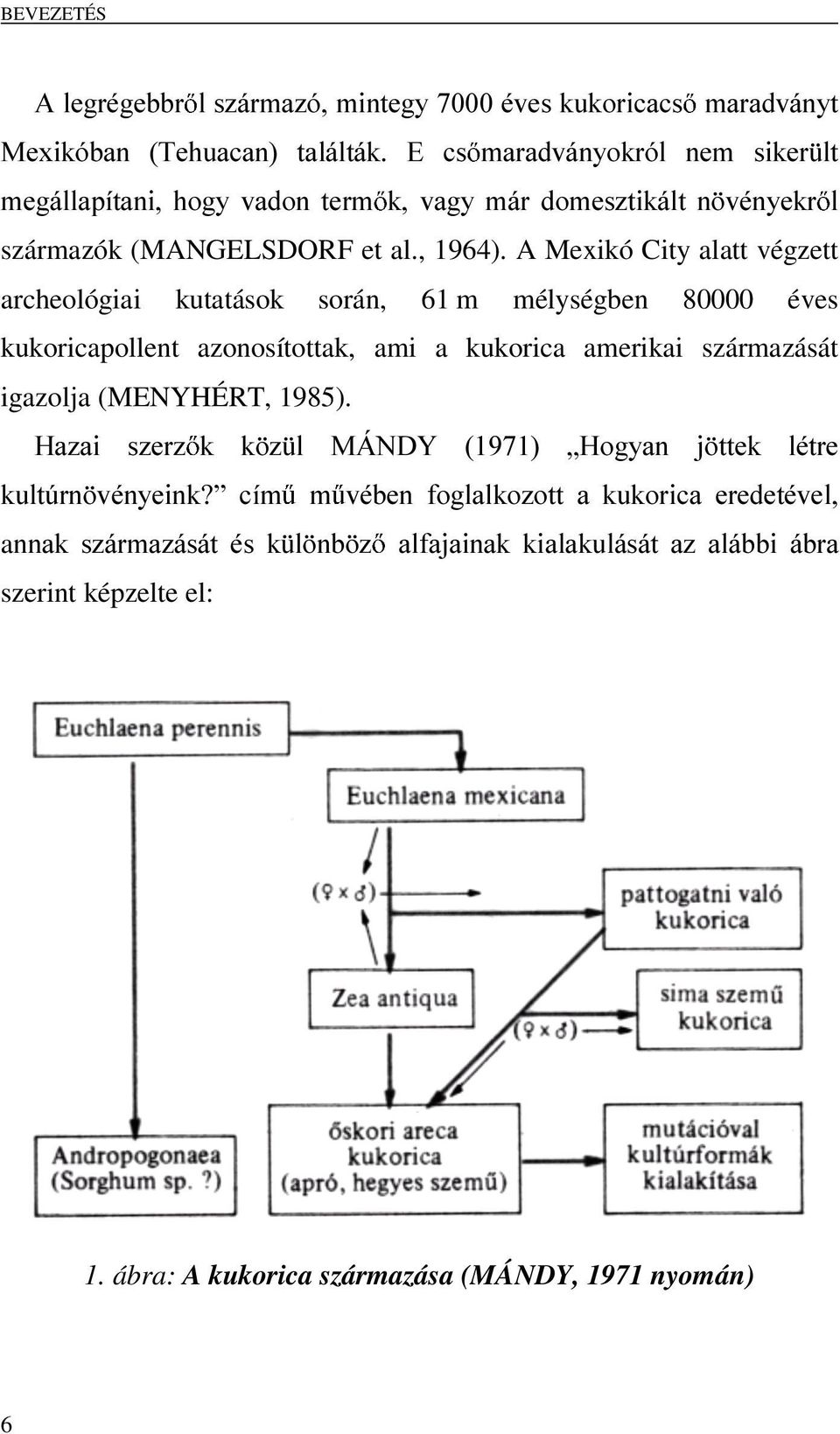 A Mexikó City alatt végzett archeológiai kutatások során, 61 m mélységben 80000 éves kukoricapollent azonosítottak, ami a kukorica amerikai származását igazolja