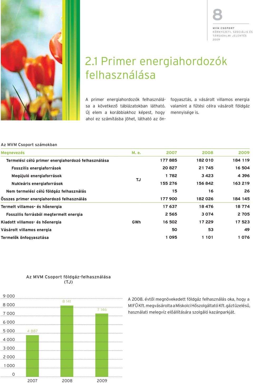 Az MVM Csoport számokban Megnevezés M. e.