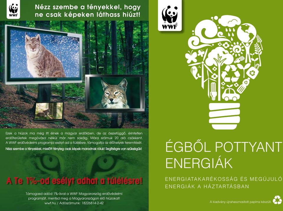 A WWF erdôvédelmi programja esélyt ad a túlélésre, támogatja az élôhelyek teremtését. Nézz szembe a tényekkel, mielôtt tényleg csak képek maradnak róluk!