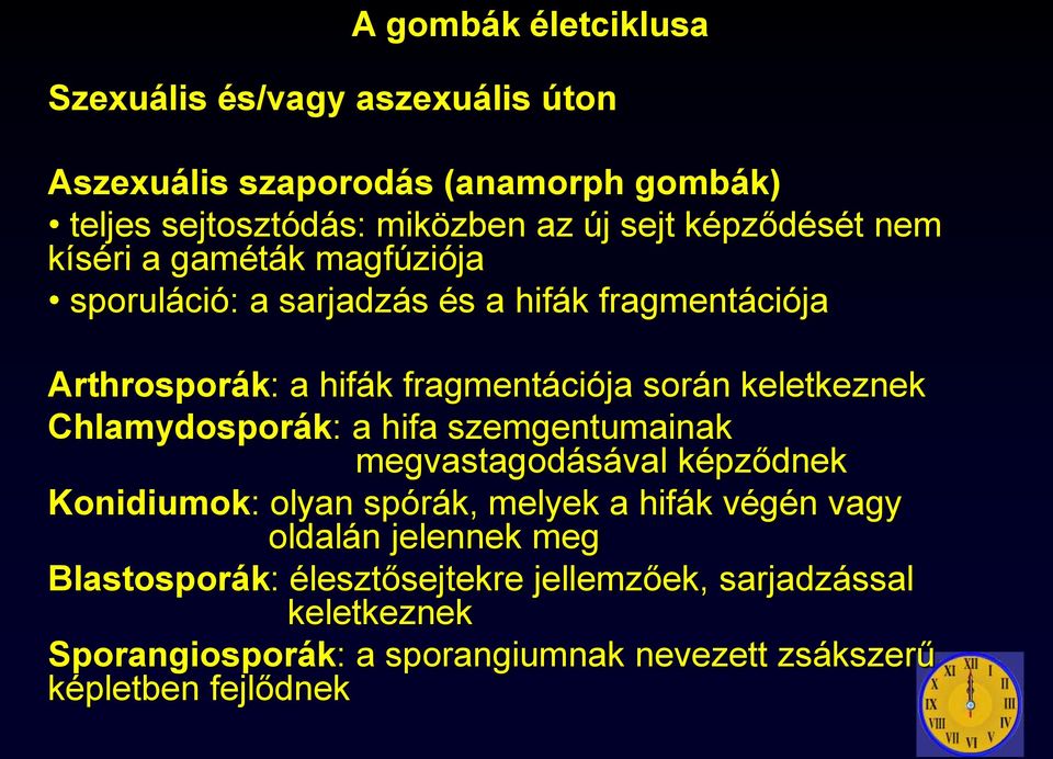 keletkeznek Chlamydosporák: a hifa szemgentumainak megvastagodásával képződnek Konidiumok: olyan spórák, melyek a hifák végén vagy oldalán