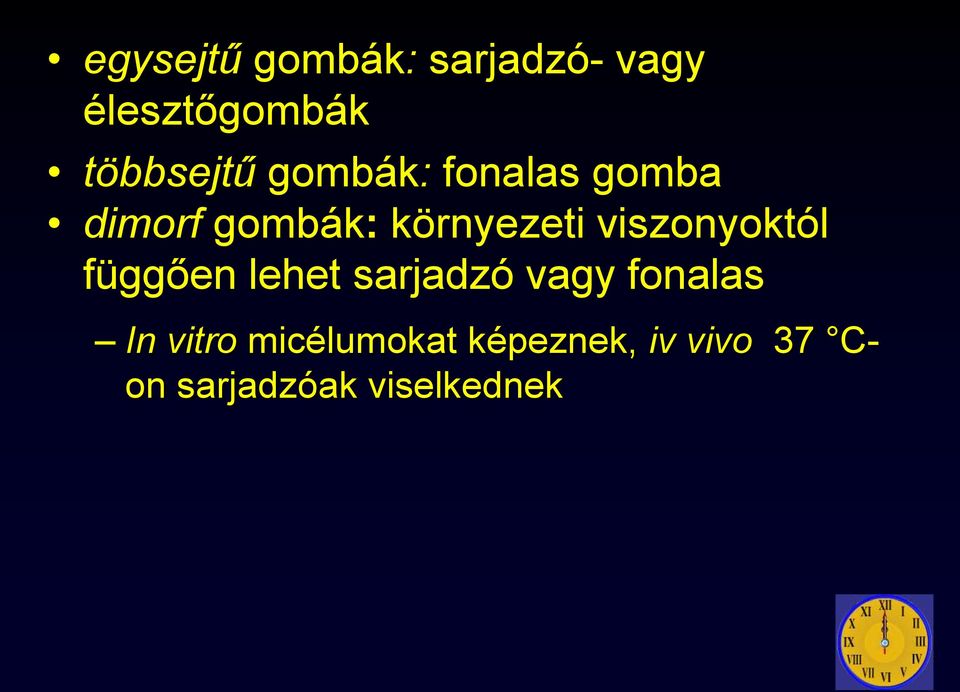 viszonyoktól függően lehet sarjadzó vagy fonalas In