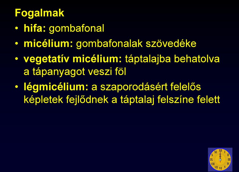 a tápanyagot veszi föl légmicélium: a szaporodásért