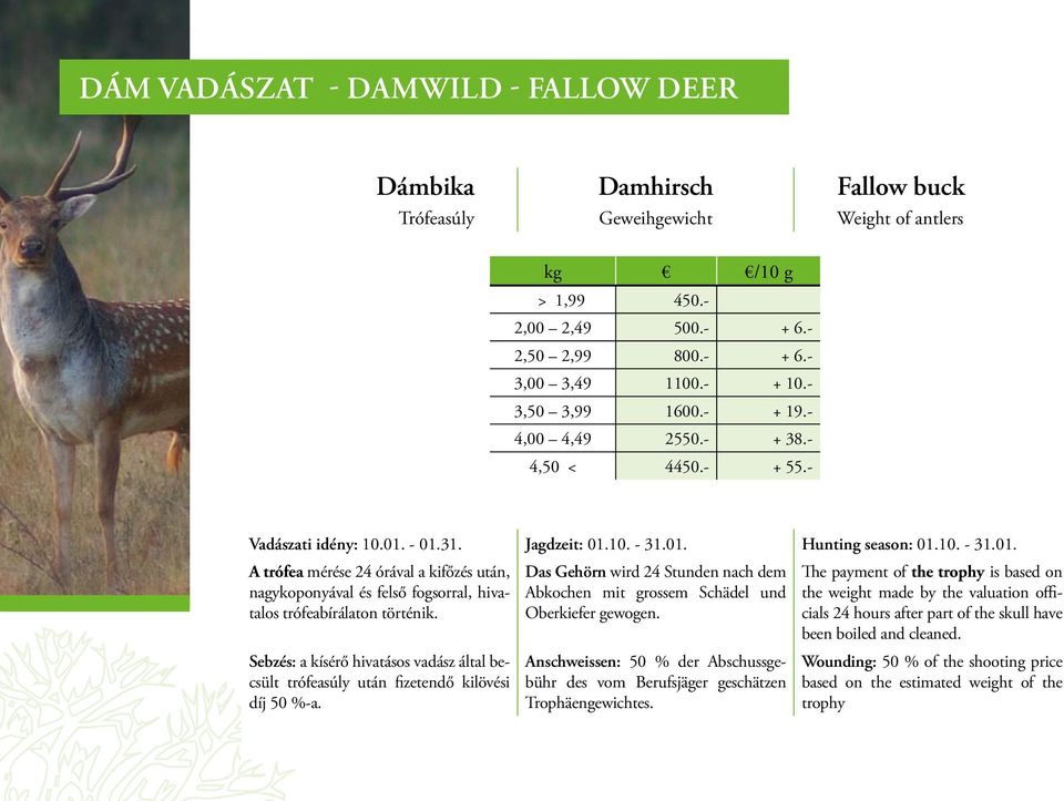 - 01.31. Jagdzeit: 01.10. - 31.01. Hunting season: 01.10. - 31.01. A trófea mérése 24 órával a kifőzés után, nagykoponyával és felső fogsorral, hivatalos trófeabírálaton történik.