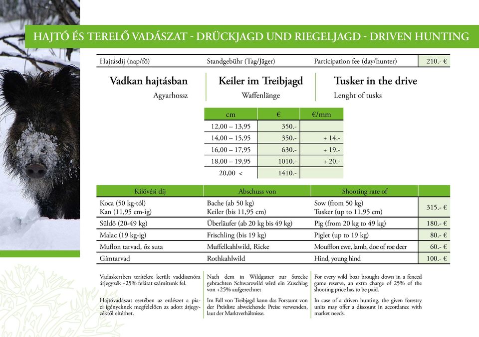 - + 19.- 18,00 19,95 1010.- + 20.- 20,00 < 1410.- Kilövési díj Abschuss von Shooting rate of Bache (ab 50 kg) Keiler (bis 11,95 cm) Sow (from 50 kg) Tusker (up to 11,95 cm) 315.