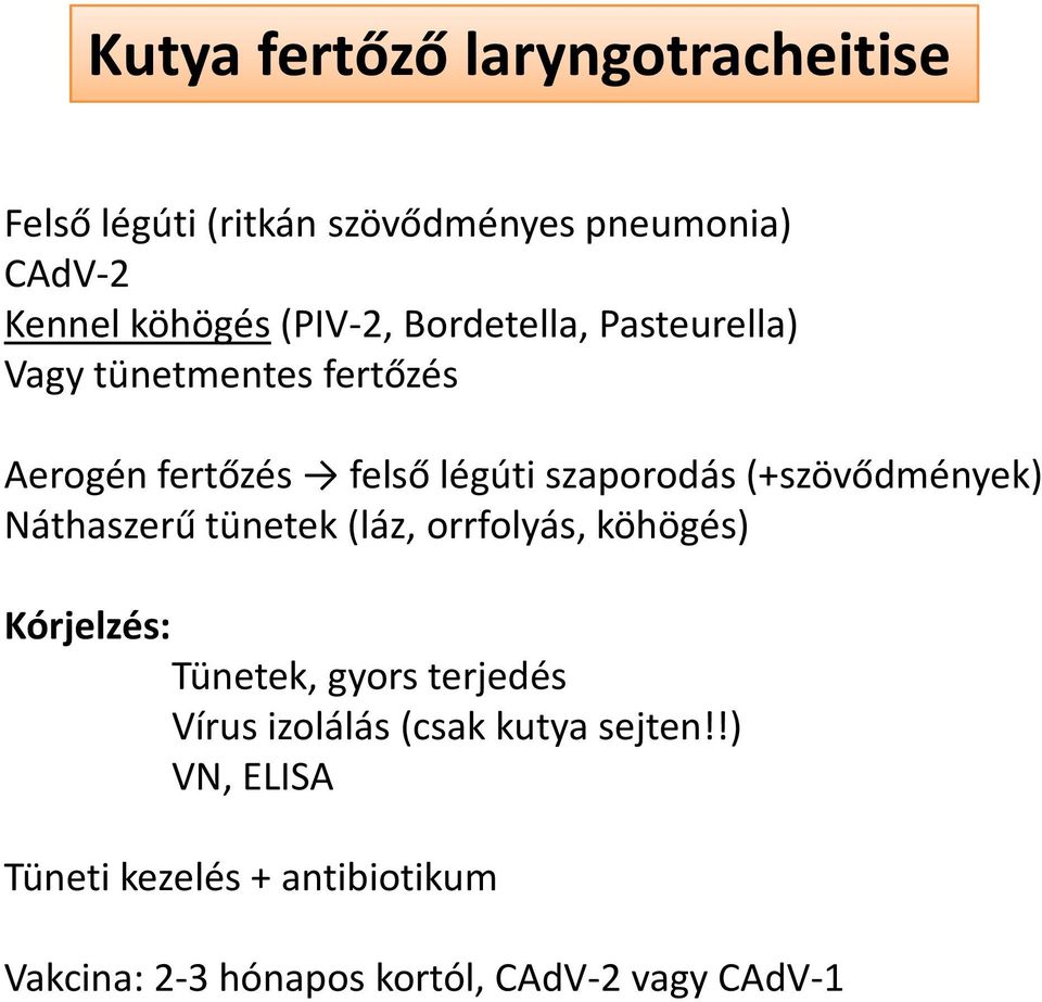 szaporodás (+szövődmények) Náthaszerű tünetek (láz, orrfolyás, köhögés) Kórjelzés: Tünetek, gyors