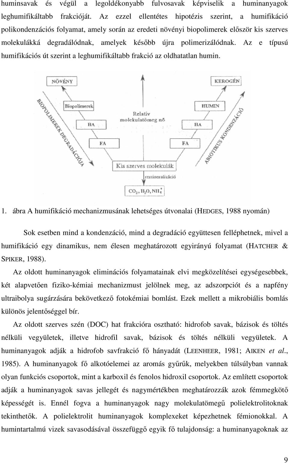 polimerizálódnak. Az e típusú humifikációs út szerint a leghumifikáltabb frakció az oldhatatlan humin. 1.