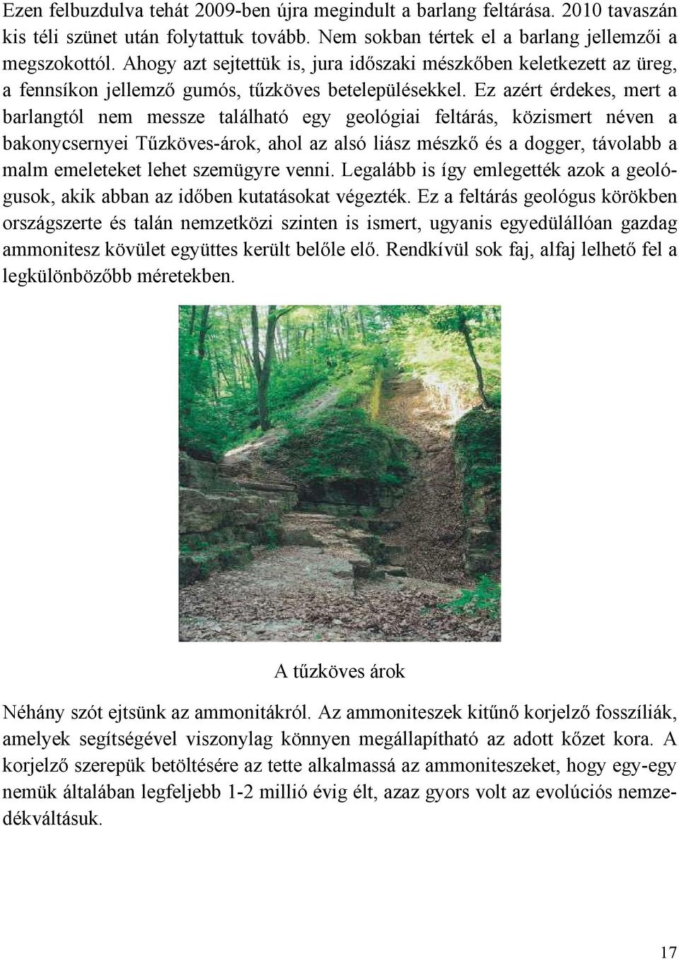 Ez azért érdekes, mert a barlangtól nem messze található egy geológiai feltárás, közismert néven a bakonycsernyei Tőzköves-árok, ahol az alsó liász mészkı és a dogger, távolabb a malm emeleteket