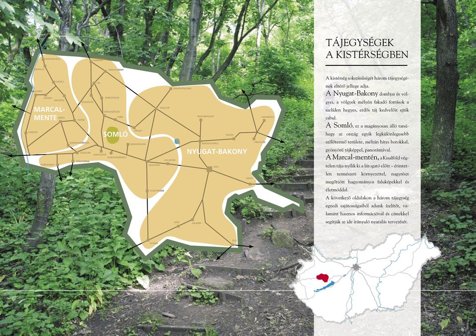 kistérség sokszínûségét három tájegységének eltérô jellege adja. A Nyugat-Bakony dombjai és völgyei, a völgyek mélyén fakadó források a szelíden hegyes, erdôs táj kedvelôit ejtik rabul.