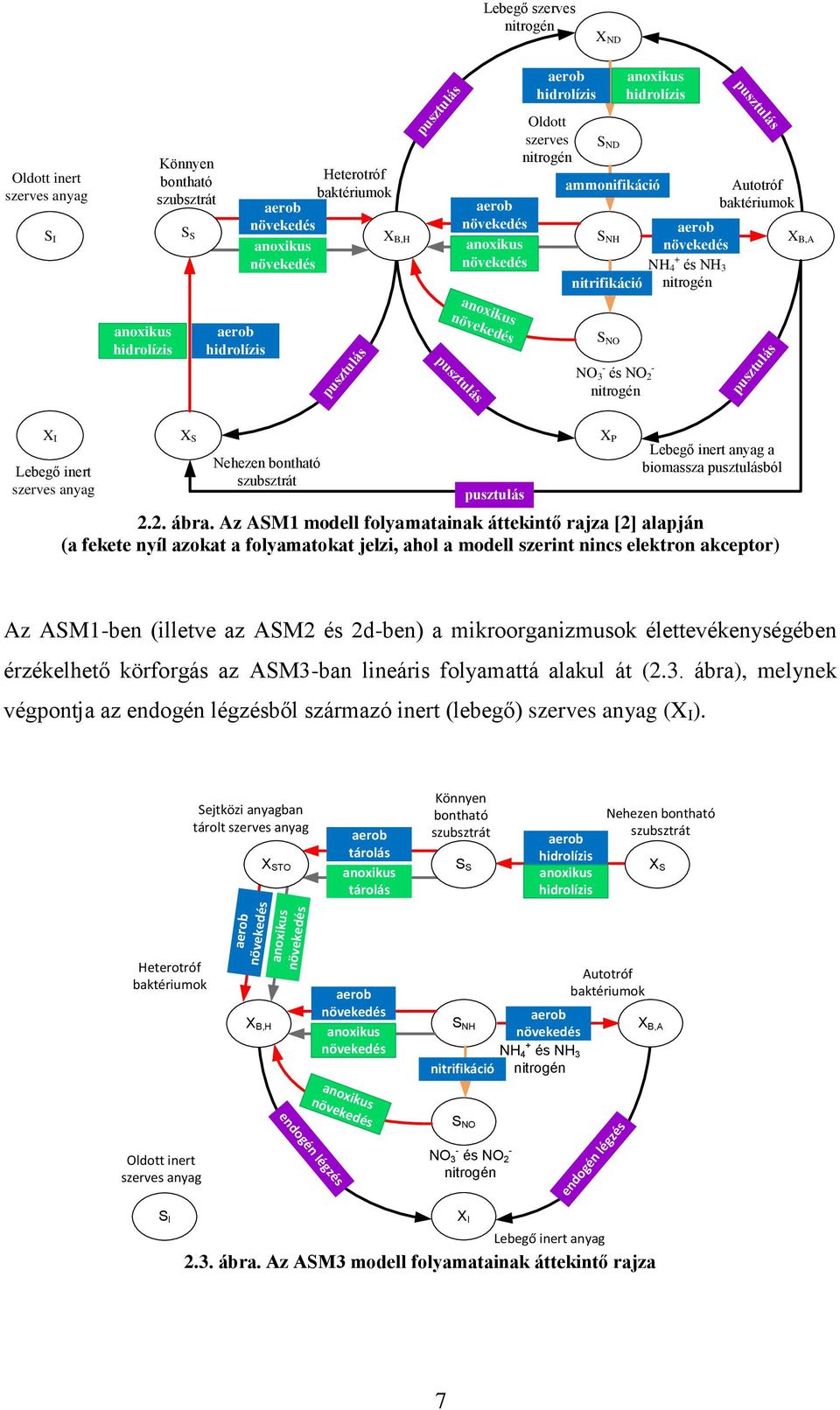 hidrolízis aerob hidrolízis pusztulás anoxikus növekedés pusztulás S NO NO 3 - és NO 2 - nitrogén pusztulás X I Lebegő inert szerves anyag X S Nehezen bontható szubsztrát pusztulás 2.2. ábra.
