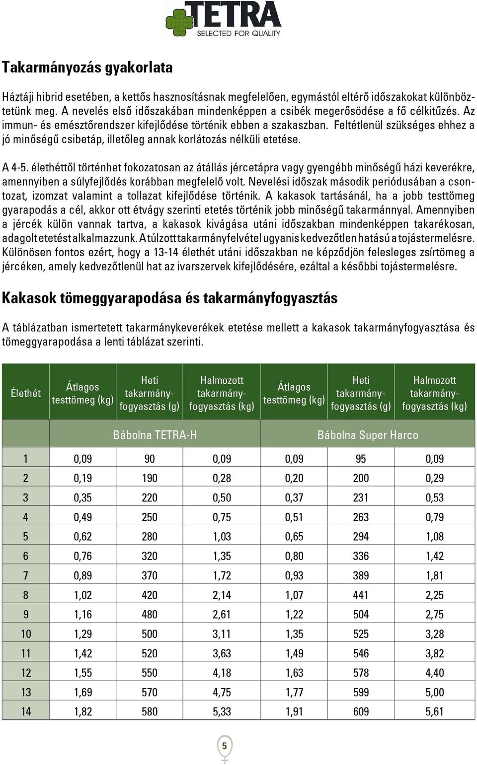 Feltétlenül szükséges ehhez a jó minőségű csibetáp, illetőleg annak korlátozás nélküli etetése. A 4-5.