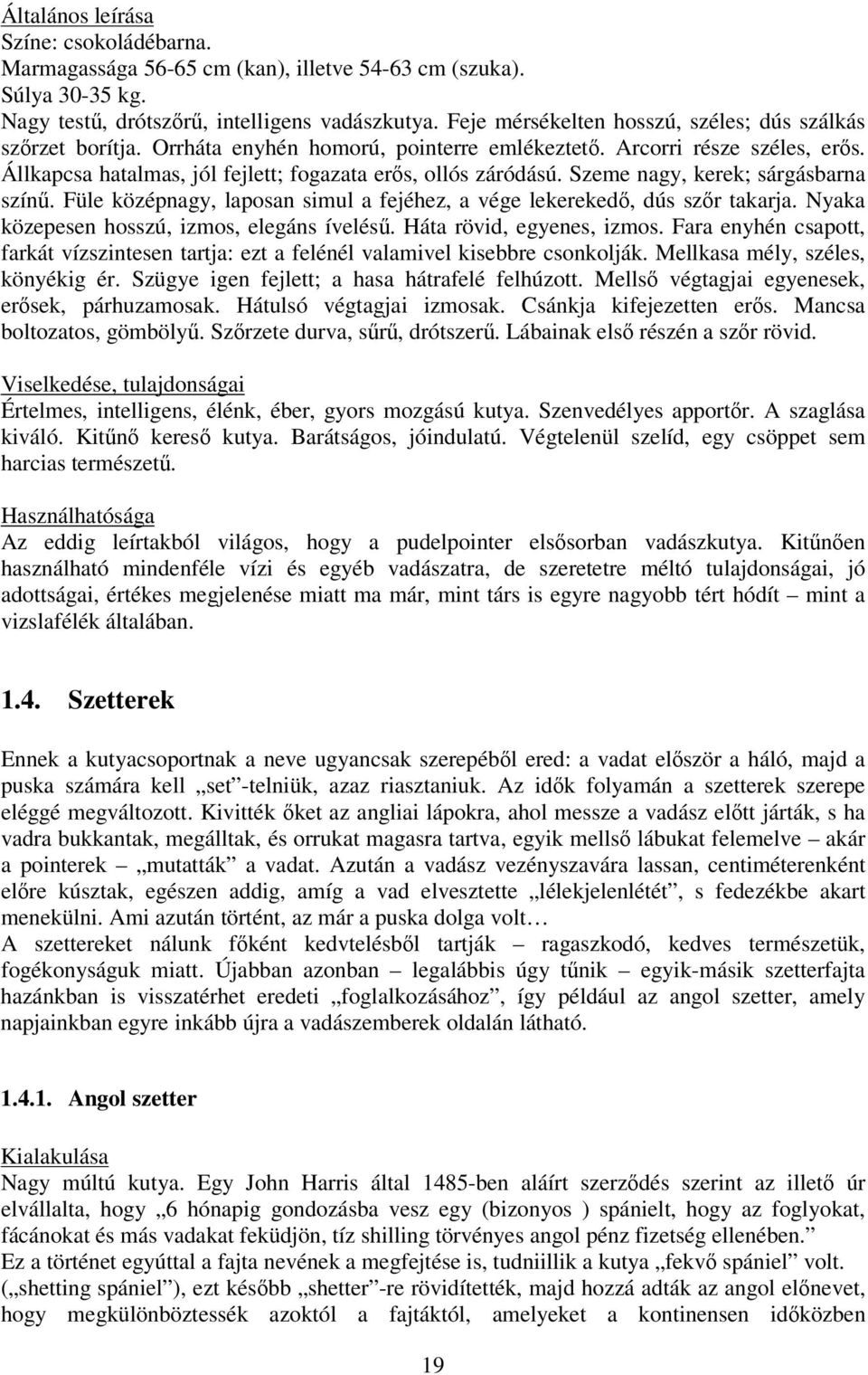 Szeme nagy, kerek; sárgásbarna szín. Füle középnagy, laposan simul a fejéhez, a vége lekereked, dús szr takarja. Nyaka közepesen hosszú, izmos, elegáns ívelés. Háta rövid, egyenes, izmos.