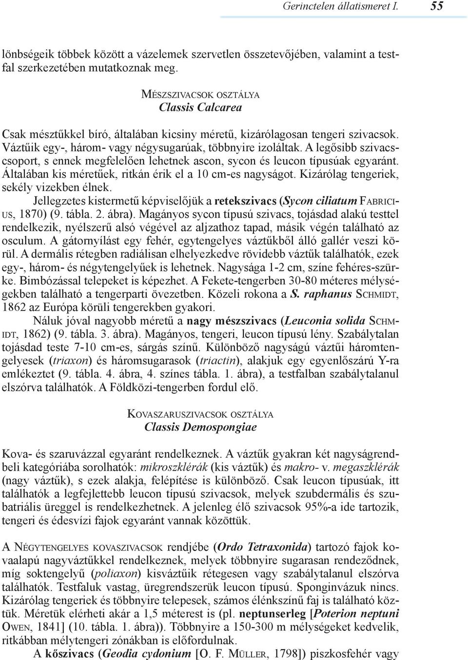 A legősibb szivacscsoport, s ennek megfelelően lehetnek ascon, sycon és leucon típusúak egyaránt. Általában kis méretűek, ritkán érik el a 10 cm-es nagyságot.