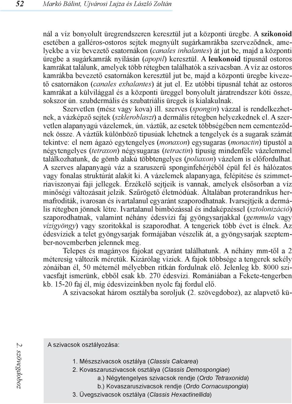 (apopil) keresztül. A leukonoid típusnál ostoros kamrákat találunk, amelyek több rétegben találhatók a szivacsban.