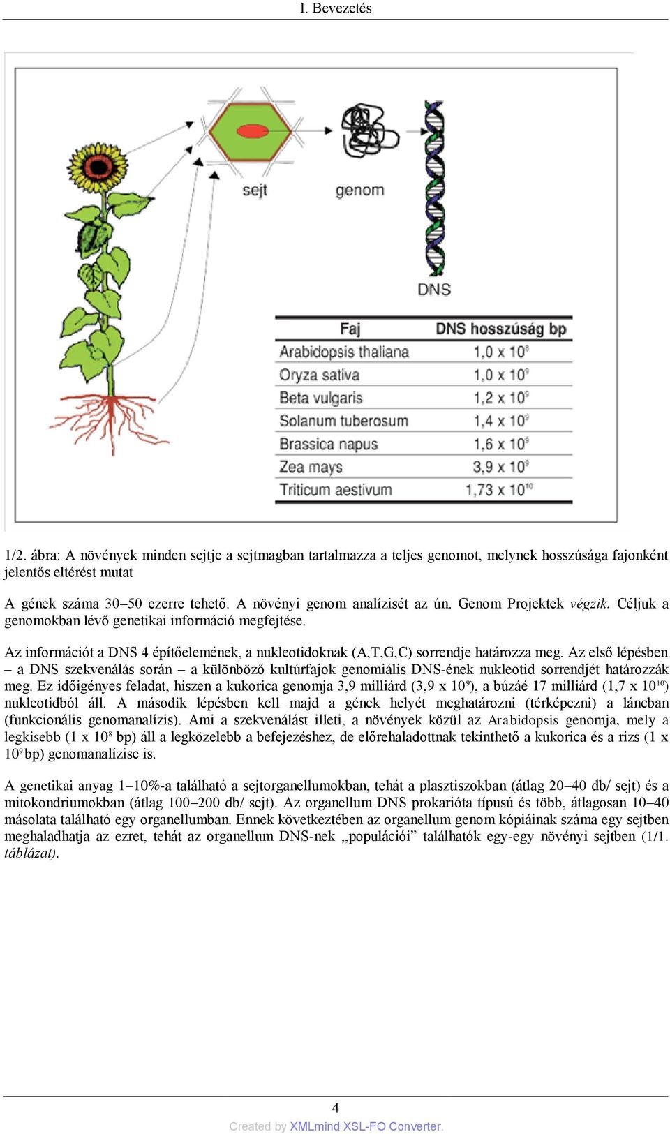 Az információt a DNS 4 építőelemének, a nukleotidoknak (A,T,G,C) sorrendje határozza meg.