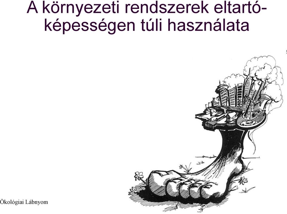 rendszerek