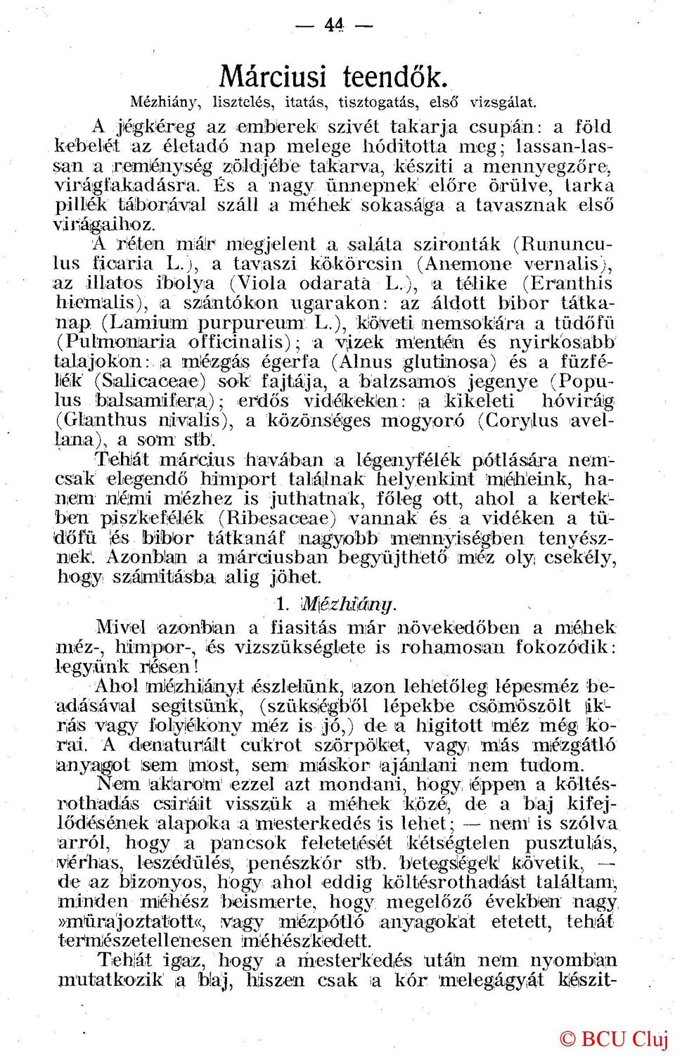 És a nagy ünnepnek előre örülve, tarka pillék táborával száll a méhek sokasága a tavasznak első virágaihoz. A réten már megjelent a saláta szironták (Rununculus fioaria L.