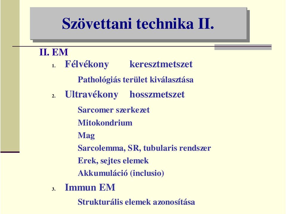 Ultravékony hosszmetszet Sarcomer szerkezet Mitokondrium Mag